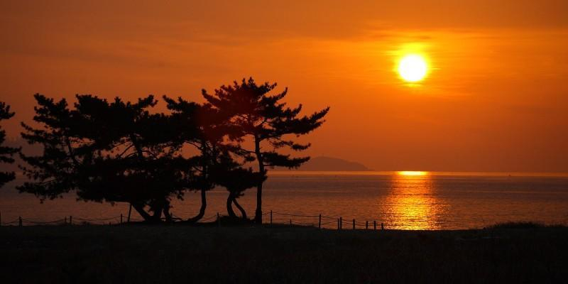 Others 1, Taean Napoli Pension, Taean