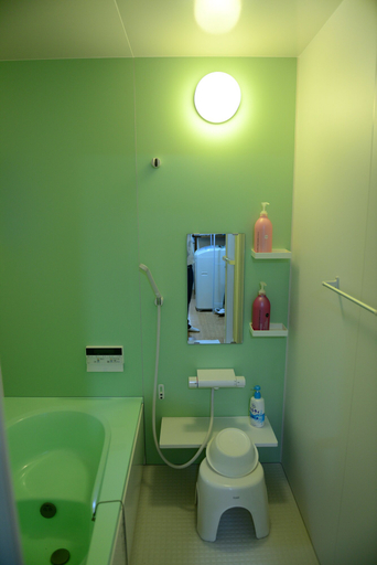Bathroom 3, Nishioji Tanuki, Kyoto
