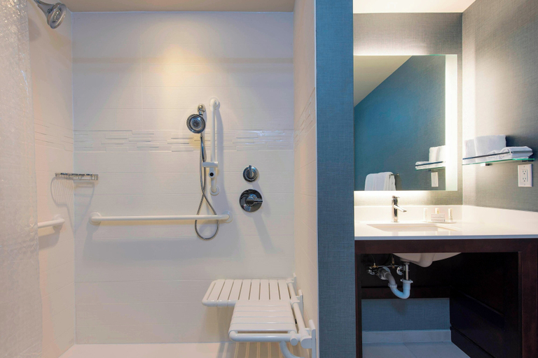 Bathroom 4, Residence Inn Ann Arbor Downtown, Washtenaw