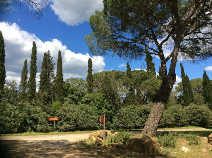 Others 5, Agriturismo Fattoria di Pietra, Grosseto