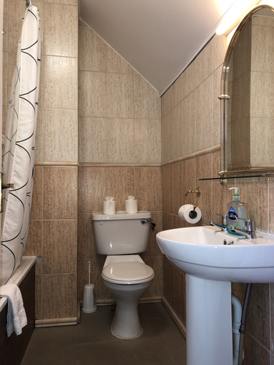 Bathroom 3, Harvey's Guesthouse, Dublin