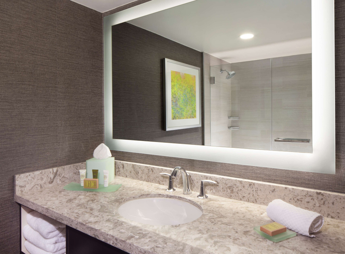 Bathroom 5, Hilton Parsippany, Morris