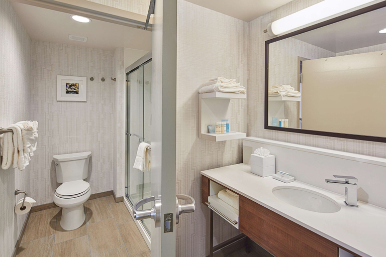 Bathroom 4, Hampton Inn & Suites Sacramento at Csus, Sacramento