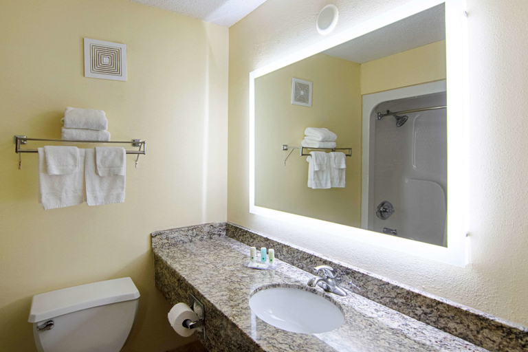 Bathroom 4, Quality Inn & Suites Richburg I-77, Chester