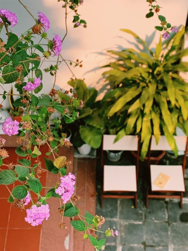 Others 5, An Hien Homestay Hoi An, Da Nang