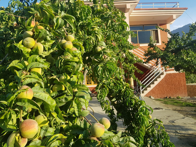 Others 4, Masakali Family Guest House, Northern Areas