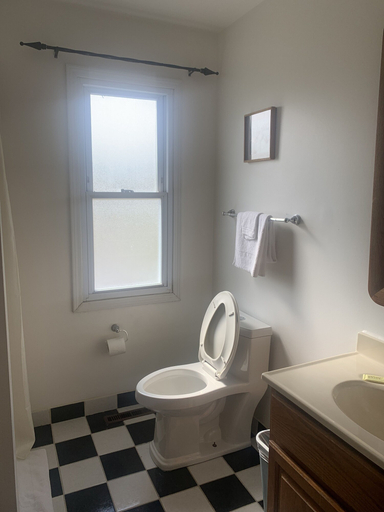 Bathroom 4, River Inn Motel, McHenry