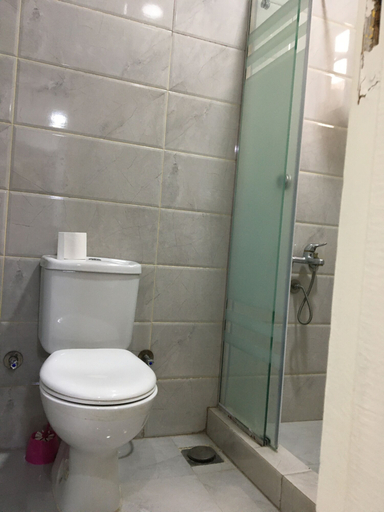 Bathroom 3, Villa Elkoumy, Luxor
