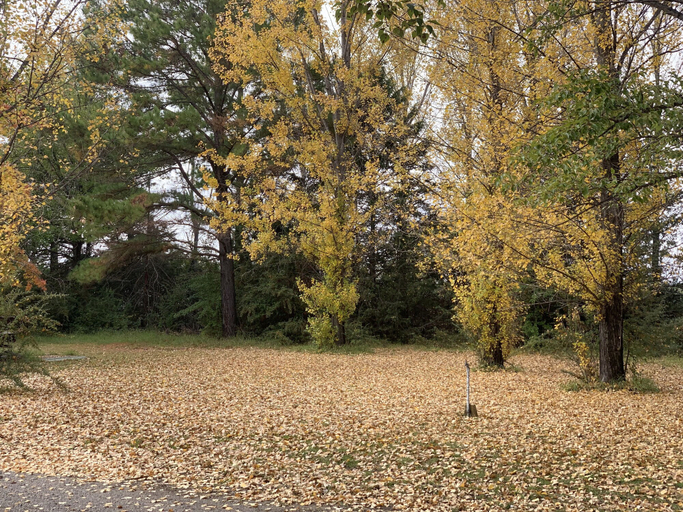 Others 5, New England Highlands RV Park, Glen Innes Severn