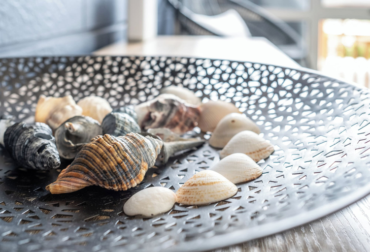 Food & Drinks, Amaroo 2, Glamorgan-Spring Bay