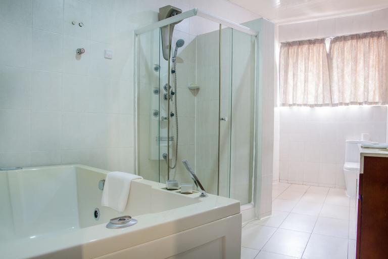 Bathroom 4, Royal Nick Hotel, Tema