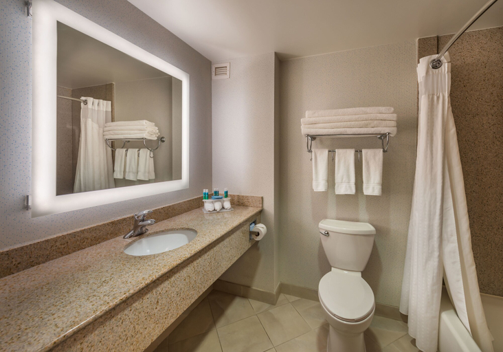 Bathroom 5, Holiday Inn Express & Suites CARSON CITY by IHG, Carson City