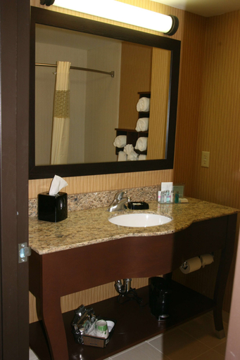 Bathroom 3, Hampton Inn & Suites Peru, La Salle