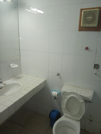 Bathroom 3, Asaa Pyramid Hotel, Kaduna South