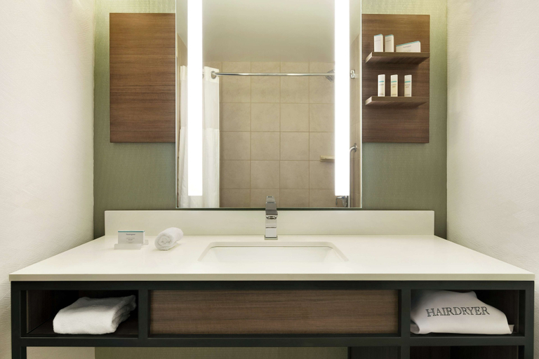 Bathroom 4, Hilton Garden Inn Charlotte/Ayrsley, Mecklenburg