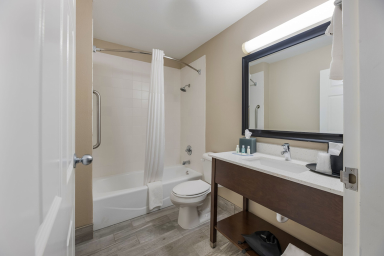 Bathroom 4, Quality Inn Sonora TX, Sutton