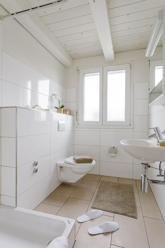 Bathroom 4, Swiss Star Residences, Zürich