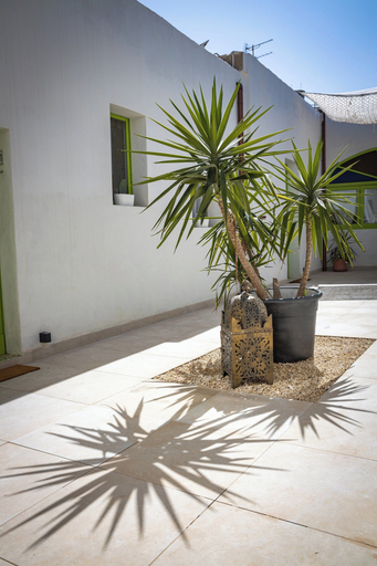Exterior & Views 2, Lemon Tree Relais by CX Collection