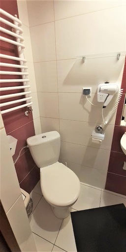 Bathroom 3, Willa Na Olczańskim Wierchu, Tatra