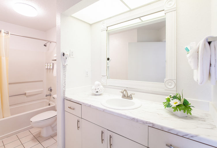 Bathroom, Seralago Hotel and Suites Main Gate East, Osceola