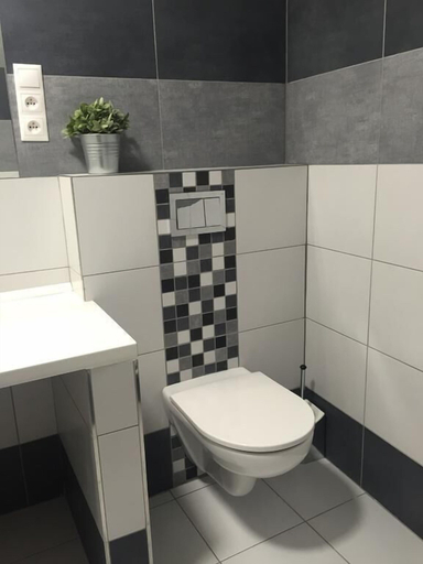 Bathroom 3, Penzion U Vlka, České Budějovice