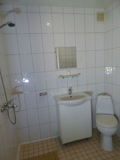 Bathroom 3, Shuvaloff, Sankt-Peterburg gorsovet