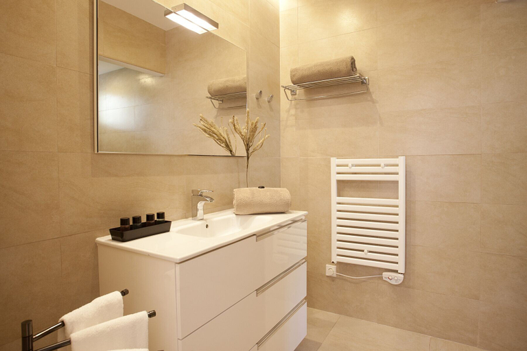 Bathroom 5, Principal Son Amoixa, Baleares