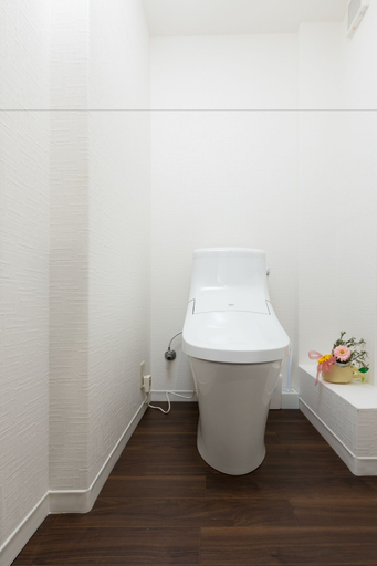 Bathroom 4, Karinsou, Osaka