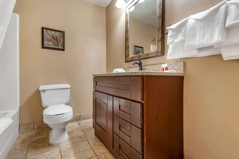 Bathroom 4, Econo Lodge Black Hills, Pennington