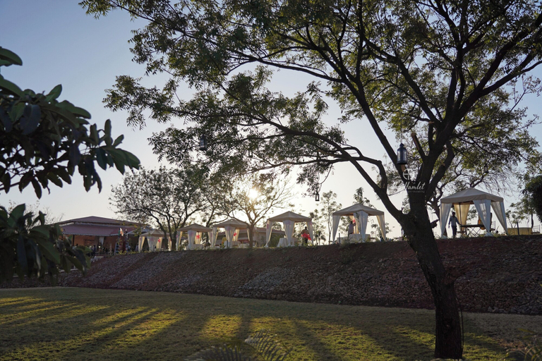 Others 5, The Hamlet, Medak