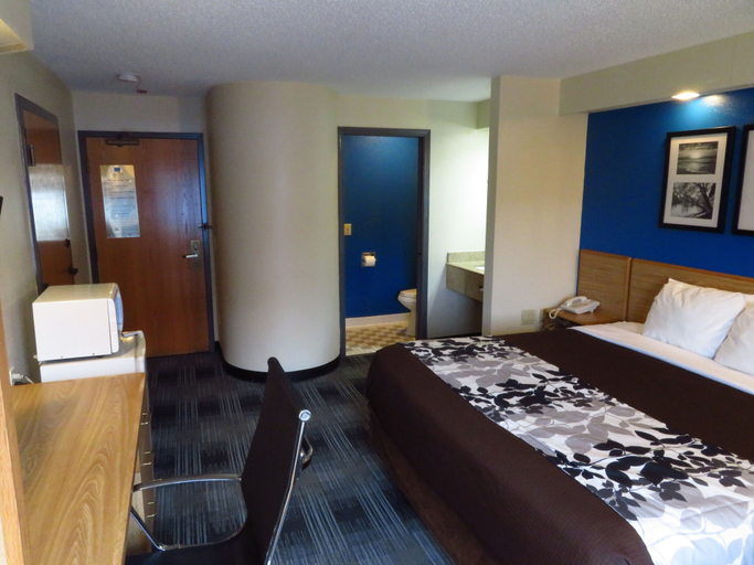 Bedroom 3, Rodeway Inn Austell Six Flags, Cobb
