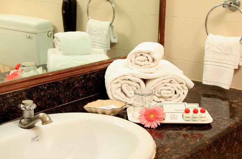 Bathroom, Hotel Basant Residency, Bangalore