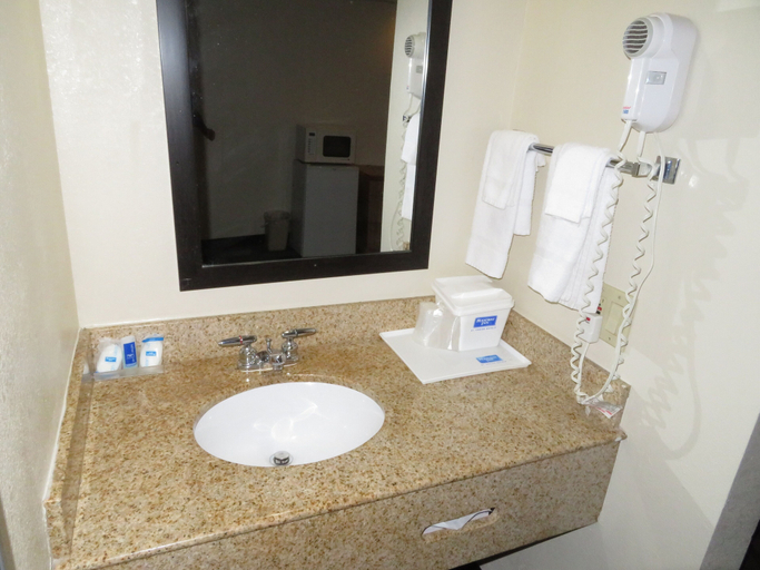 Bathroom, Rodeway Inn Austell Six Flags, Cobb
