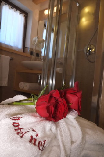 Bedroom 4, Hotel Nele, Trento
