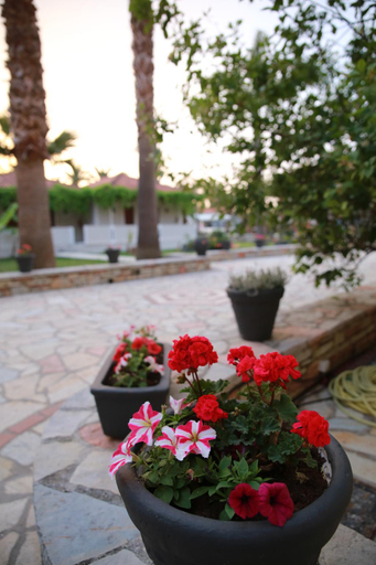 Others 5, Margarita Hotel - All Inclusive, Ionian Islands