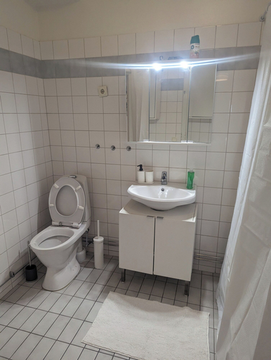 Bathroom, Large, Stylish Apartment in Central Stockholm, Stockholm