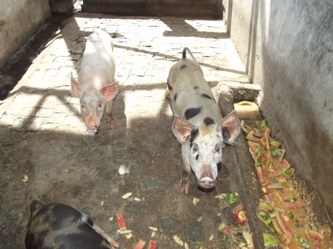 Others 3, Hotel Fazenda Recanto, Jaguaripe
