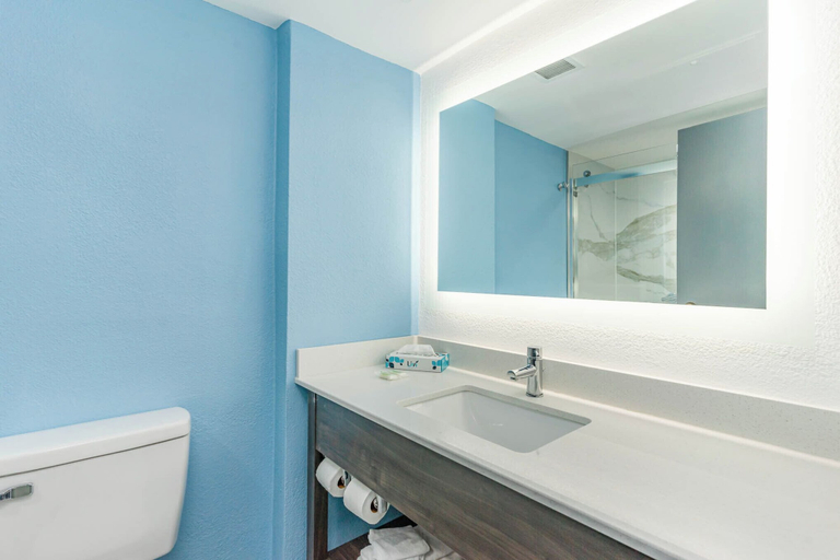 Bathroom 5, Sun N Sand Resort, Horry