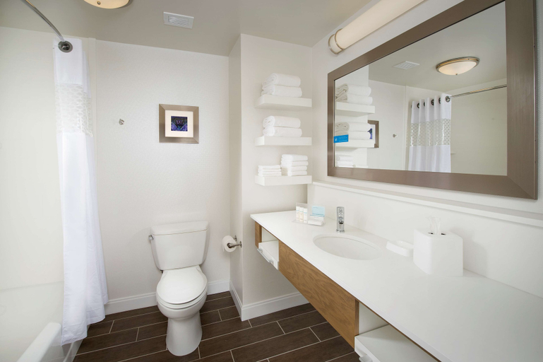 Bathroom 4, Hampton Inn & Suites Syracuse/Carrier Circle, Onondaga