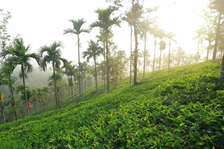 Exterior & Views 4, God's Land Resorts, The Nilgiris