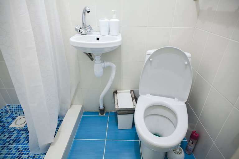 Bathroom 2, GuestHouse WhiteNight, Sankt-Peterburg gorsovet