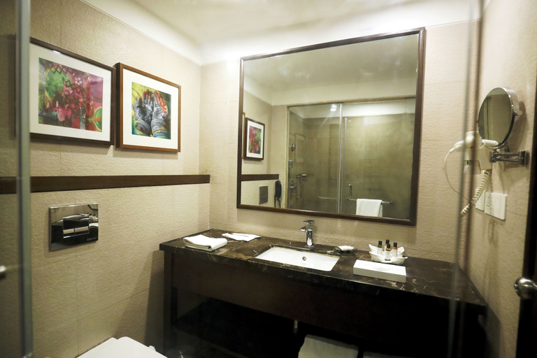 Bathroom 4, Best Western Plus Jalandhar, Jalandhar