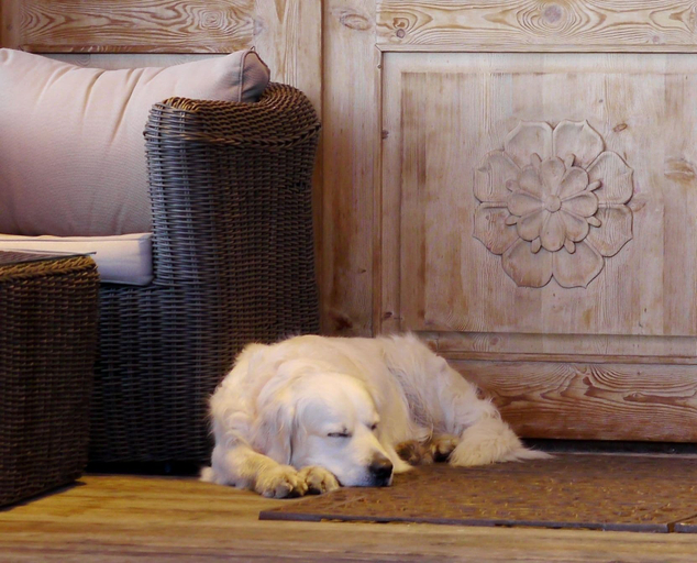 Bedroom 4, Hôtel Au Chamois d'Or by Les Etincelles, Isère
