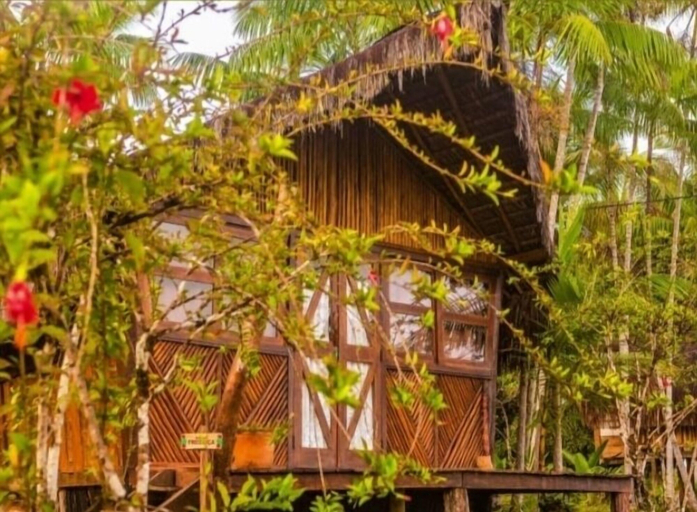 Exterior & Views 2, Art Jungle Eco Lodge, Itacaré