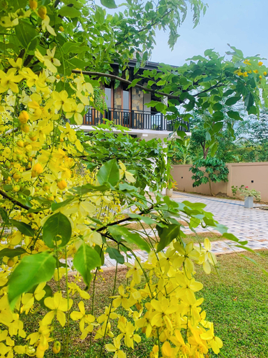 Exterior & Views 2, The kenoli's city hotek, Dambulla