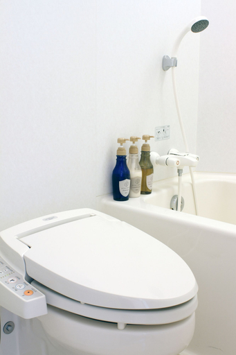 Bathroom 4, Rockwood Hotel & Spa, Ajigasawa