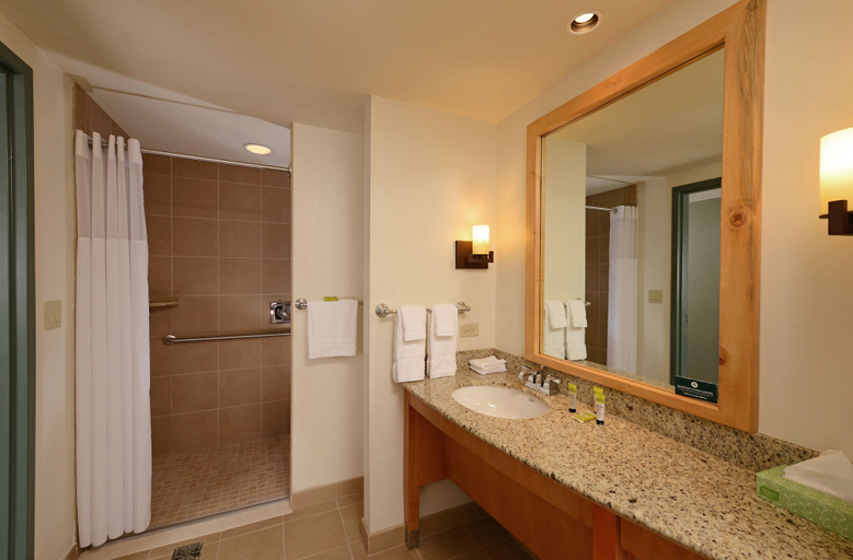 Bathroom 3, Great Wolf Lodge Colorado Springs, El Paso
