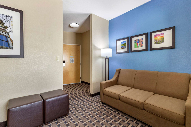 Others 5, Comfort Suites Georgetown, Williamson