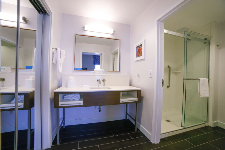 Bathroom 3, Hampton Inn & Suites Forest City, Rutherford