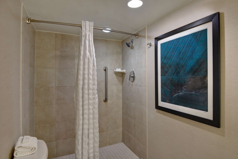 Bathroom 4, Embassy Suites Hotel Winston-Salem, Forsyth